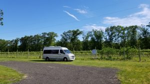 Airstream Interstate parked at beautiful DiMatteo Vineyards