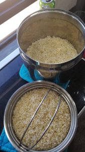 Bulk prepped brown rice and jasmine rice